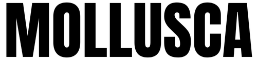 MOLLUSCA